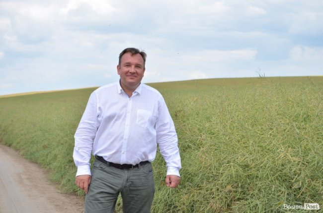 Аграрна еліта серед пшеничних колосків: на Волині – День поля. ФОТО