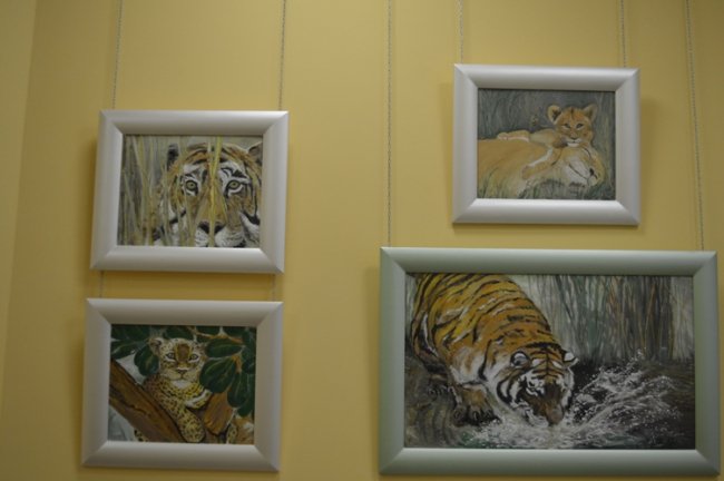 Анонімний меценат з Нідерландів виставив свої картини у Ковелі