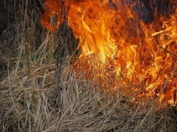 Якщо в селах на Волині будуть палити траву, каратимуть сільських голів