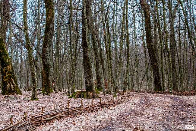 Перший день весни у «волинській Швейцарії». ФОТОРЕПОРТАЖ