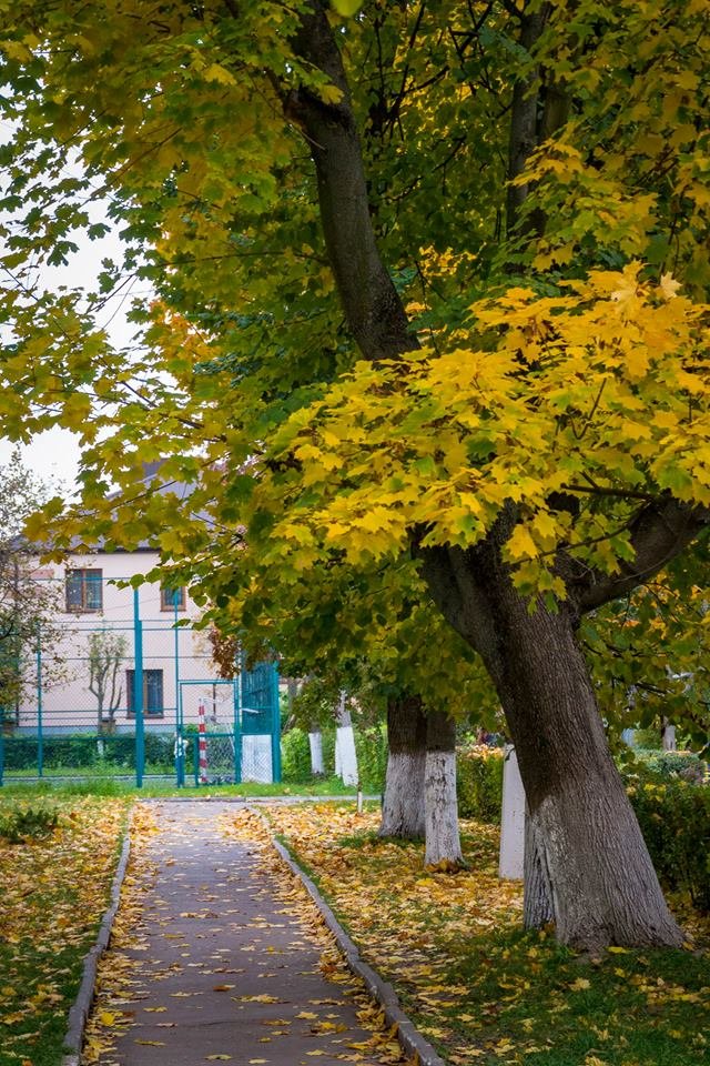 Автор фото - Юрій Фетисов