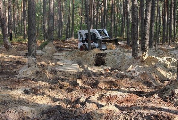 На Волині ліквідовують наслідки «наїзду» на ліси. ФОТО