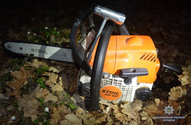 На Волині спіймали чоловіків, які незаконно вирубували дуб