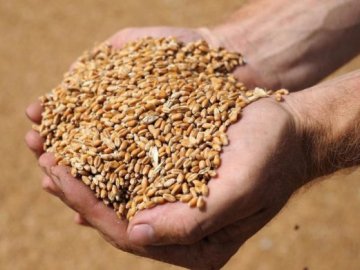 У Зеленського назвали три важливих кроки, щоб запобігти голоду у світі