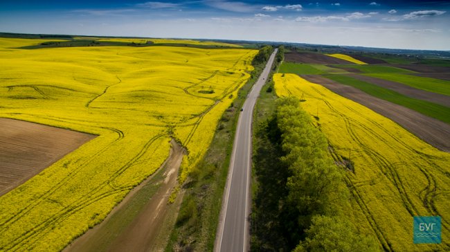 Різнобарвні краєвиди Волині з висоти пташиного польоту. ФОТО. ВІДЕО