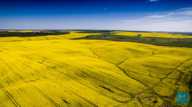 Різнобарвні краєвиди Волині з висоти пташиного польоту. ФОТО. ВІДЕО