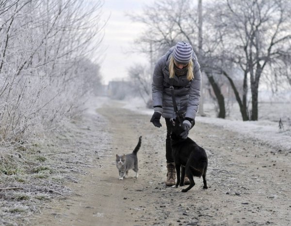 Волинь в льодяному тумані. ФОТО
