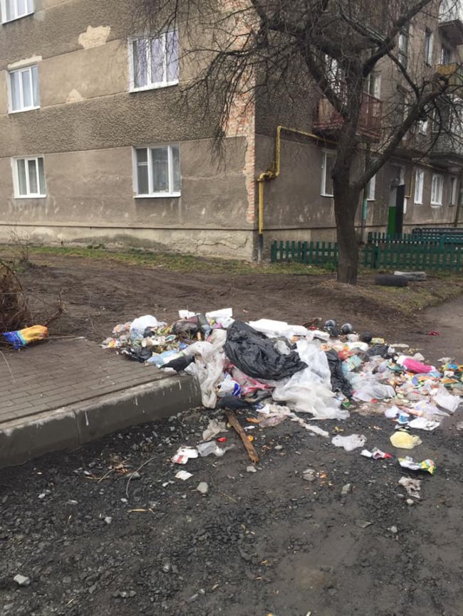 «Ср*ч під власним будинком»: у Ковелі мешканці загидили двір. ФОТО