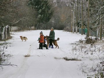 Казкові зимові пейзажі у селах під Луцьком. ФОТО