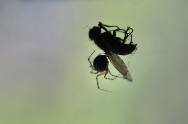 Фотовиставка Ірини Ільчук 