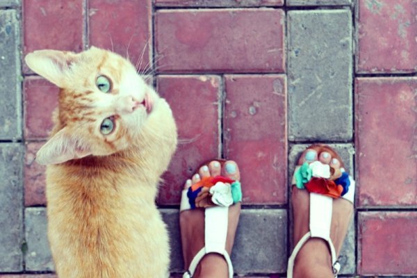 Фотовиставка Діани Шишкової-Морозюк