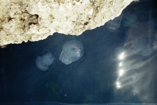 Фотовиставка Юлії Ткаченко