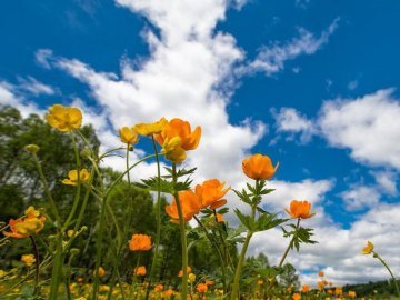 Якою буде погода у Луцьку завтра, 26 червня