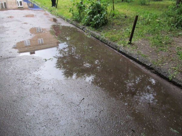 Мешканці Луцька скаржаться на бездіяльність ЖКГ. ФОТО