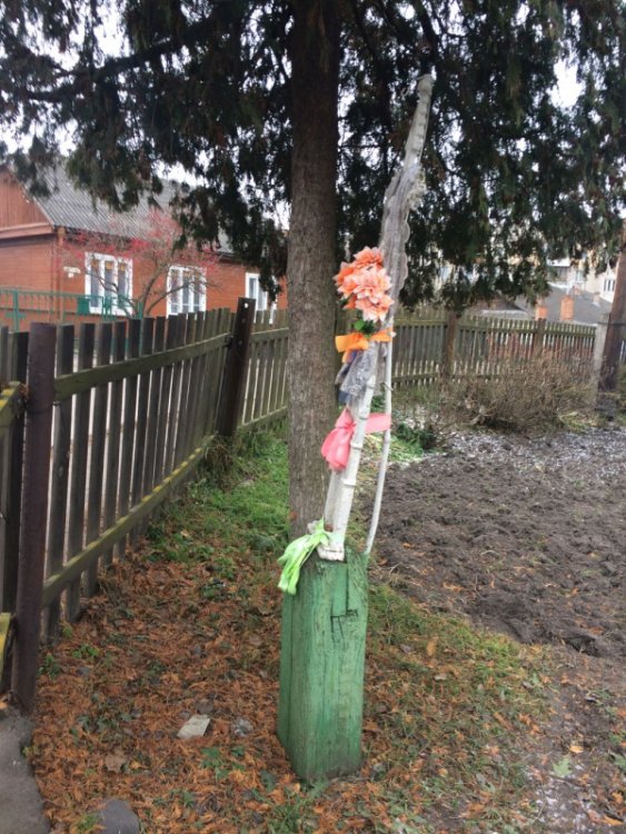 На Волині стоїть хрест, до якого приїжджають молитися за народження дитини. ФОТО