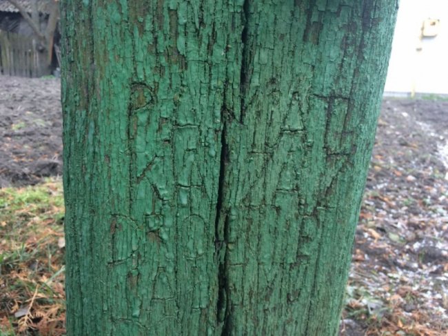 На Волині стоїть хрест, до якого приїжджають молитися за народження дитини. ФОТО