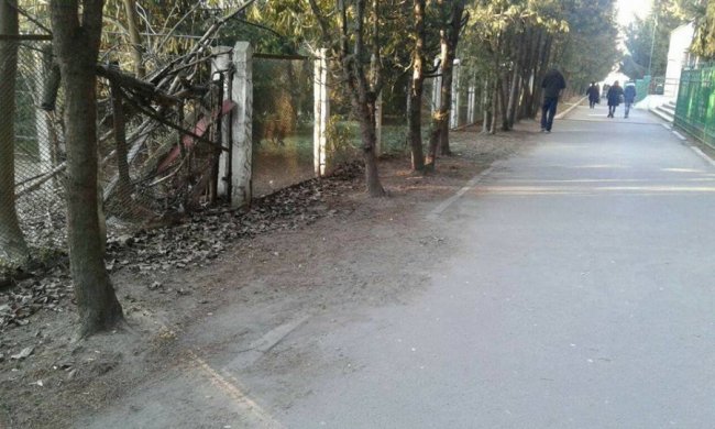 Луцькі муніципали «покарали» медиків за розкидані бахіли