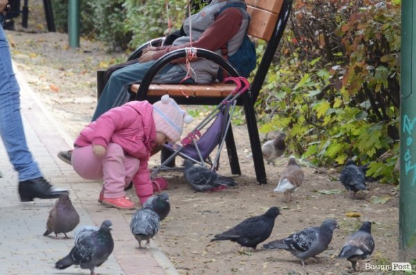 У Луцьку облаштували Сквер Героїв Майдану. ФОТО