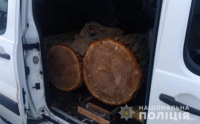 На Волині у чоловіка в авто знайшли деревину без документів. ФОТО