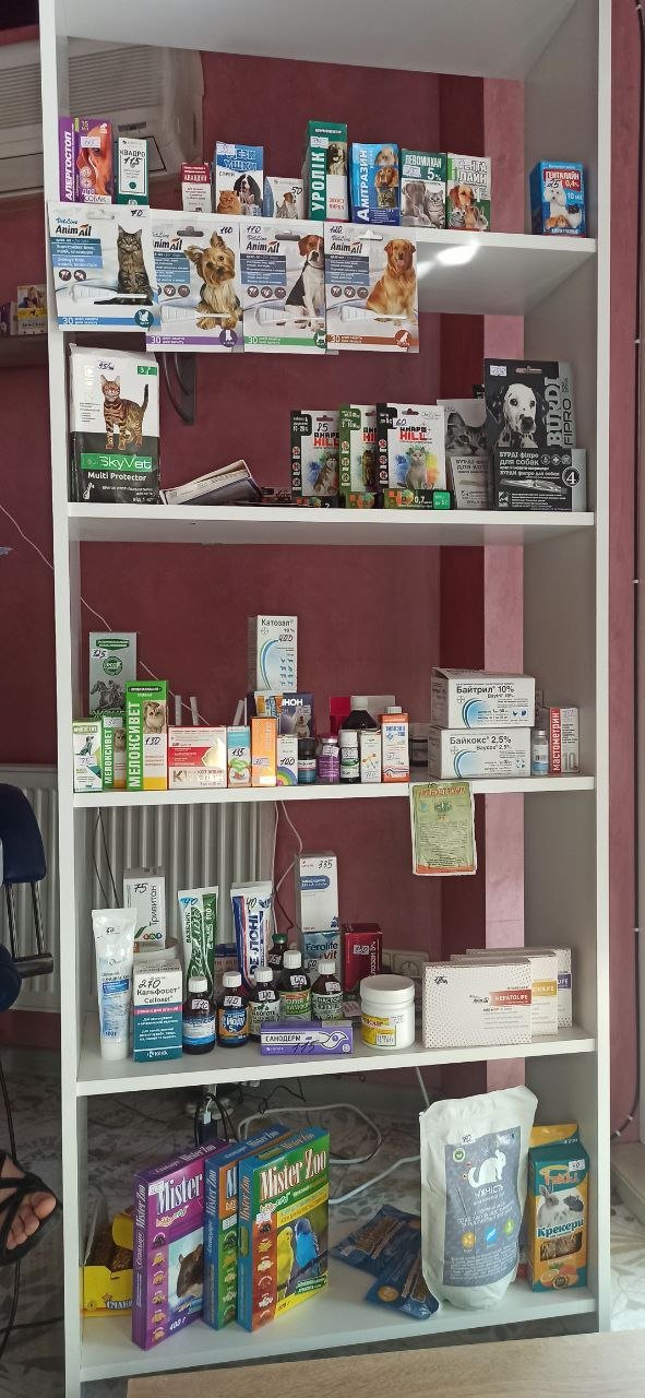 Переселенці з Херсонщини відкрили ветклініку та аптеку у Луцьку: діють знижки до 25% з нагоди старту