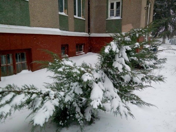 Автор фото Антон Бугайчук