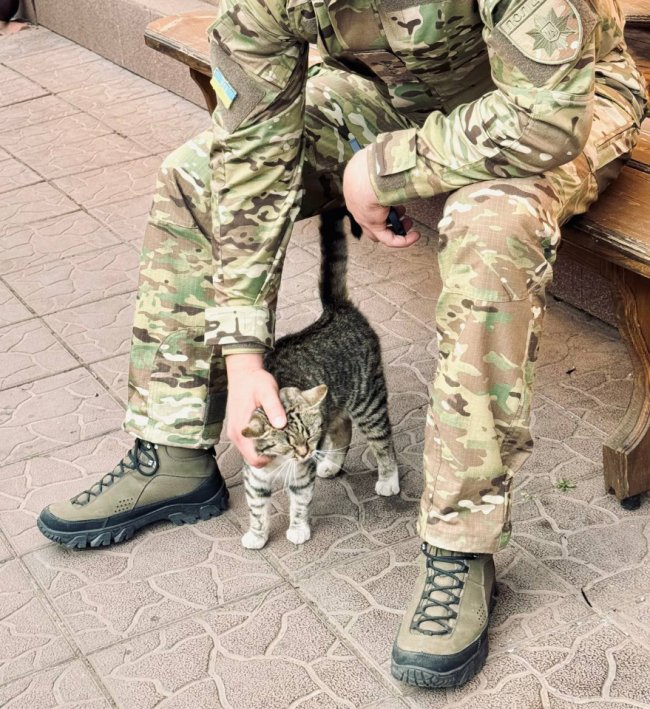 Пухнасті побратими. Чотирилапі підопічні волинських добровольців на фронті