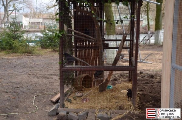 Депутати Луцькради перевірили, як живеться тваринам. ФОТО 