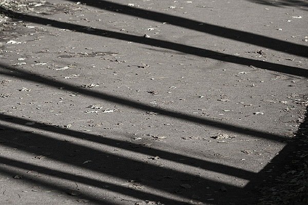 Фотовиставка Олександра Котиса