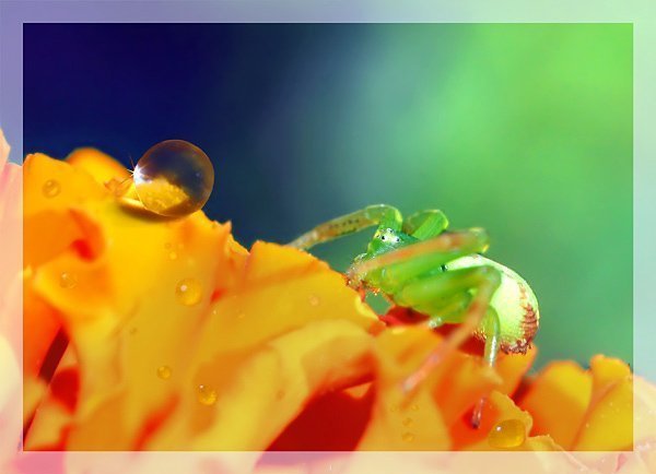 Фотовиставка Олександра Котиса