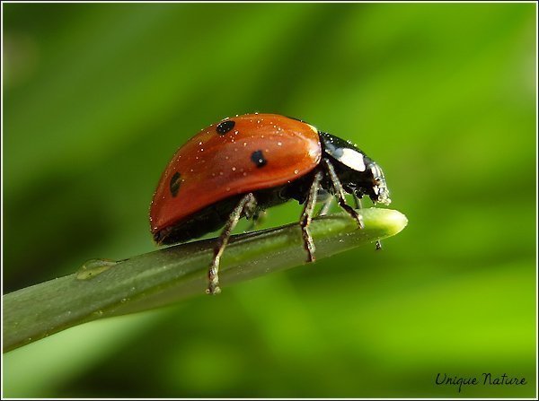 Фотовиставка Олександра Котиса