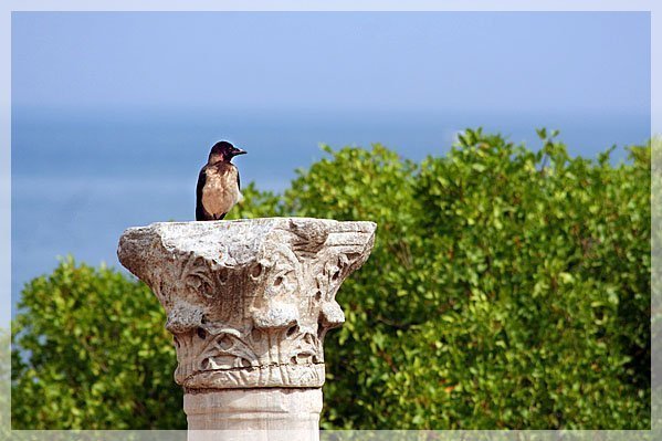 Фотовиставка Олександра Котиса