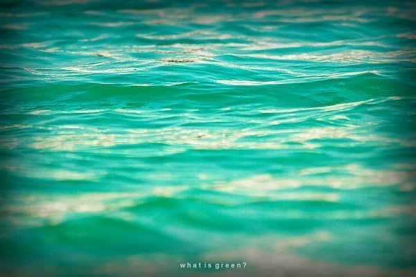 Фотовиставка Олександра Котиса