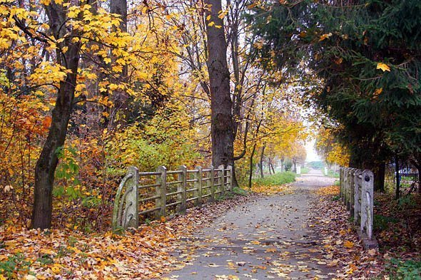 В центральному парку Луцька