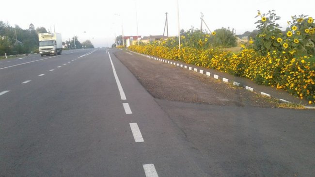 Неподалік Луцька заквітчали трасу. ФОТО