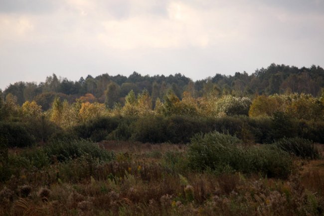 Давно забутий Трохимбрід на світлинах волинського фотографа