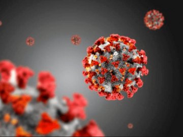 Коронавірус на Волині: де і скільки випадків недуги виявили за добу