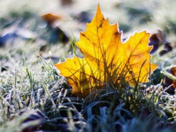 Перший сніг та заморозки: в Україну суне суттєве похолодання