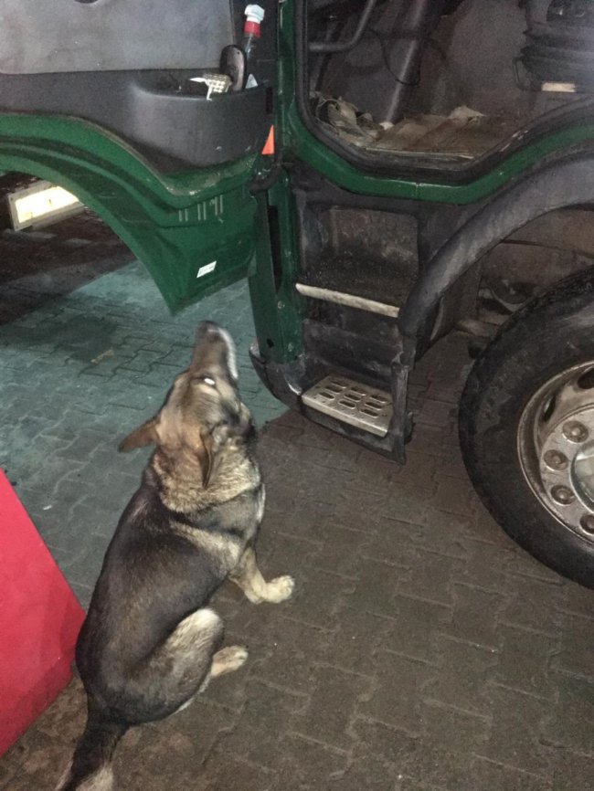 На Волині водії вантажівок у закордонну поїздку прихопили з собою наркотики