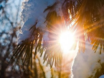 На Волині синоптики прогнозують потепління до +12⁰