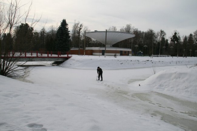 Показали, як у луцькому парку рятують рибу від загибелі. ФОТО