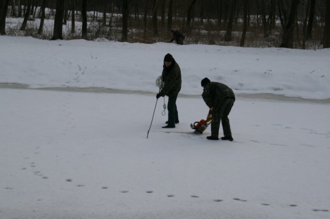Показали, як у луцькому парку рятують рибу від загибелі. ФОТО