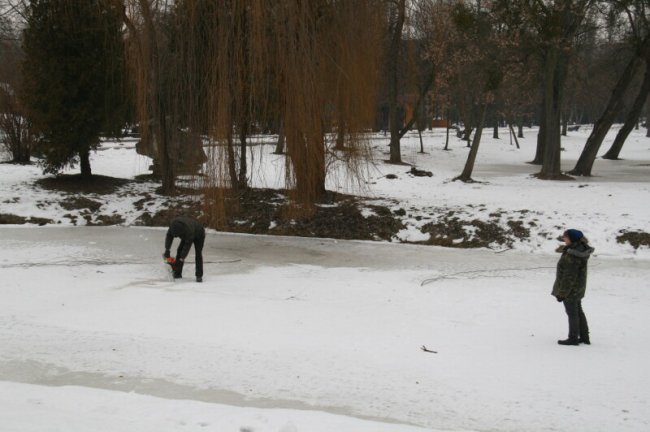 Показали, як у луцькому парку рятують рибу від загибелі. ФОТО