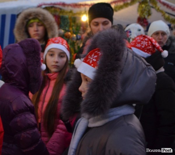 У Луцьку засвітили головні ялинки міста. ФОТО 