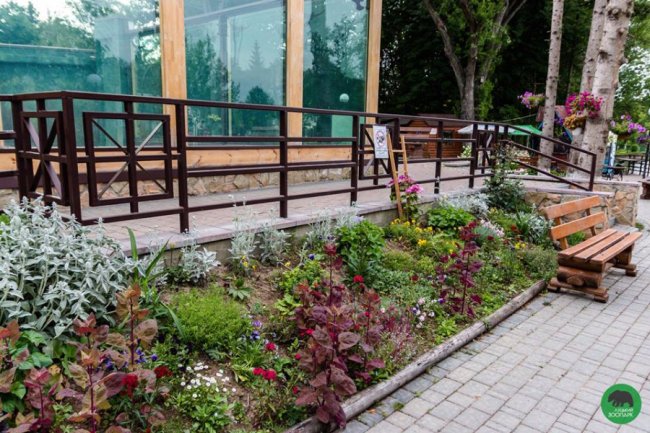 Квіти Луцького зоопарку: 37 дивовижних фото