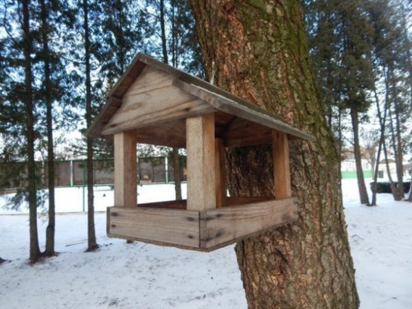 Лісівники і дітлахи на Волині виготовили сотні годівничок