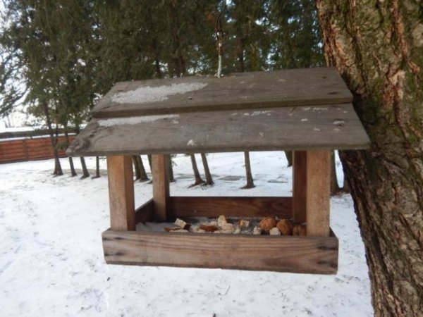 Лісівники і дітлахи на Волині виготовили сотні годівничок