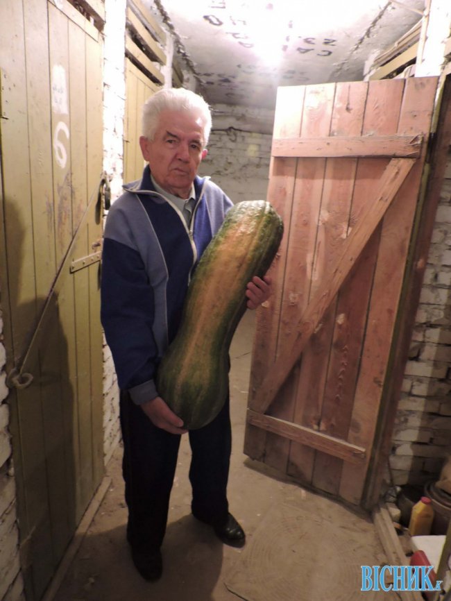 Лучанин виростив кавбуза-гіганта. ФОТО