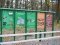 3000 волонтерів, 750 кубів сміття: завершився місячник прибирання лісів на Волині
