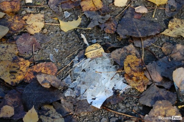 Парк у Луцьку: осіння краса і людська байдужість. ФОТО