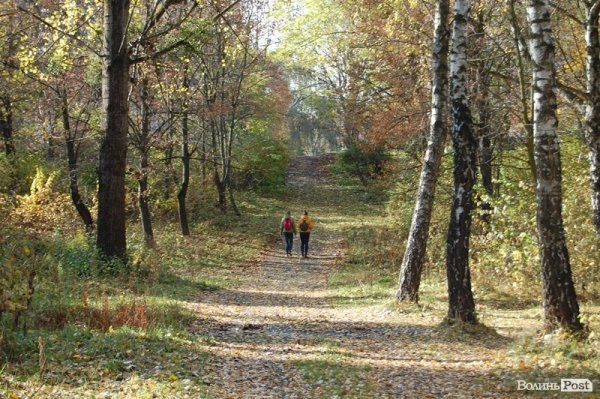 Парк у Луцьку: осіння краса і людська байдужість. ФОТО
